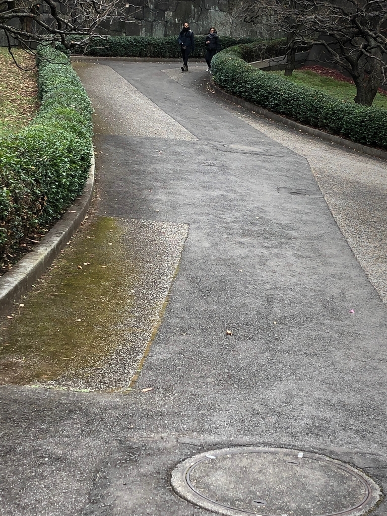 f:id:hideki-sansho:20190124154315j:plain f:id:hideki-sansho:20190124154315j:plain