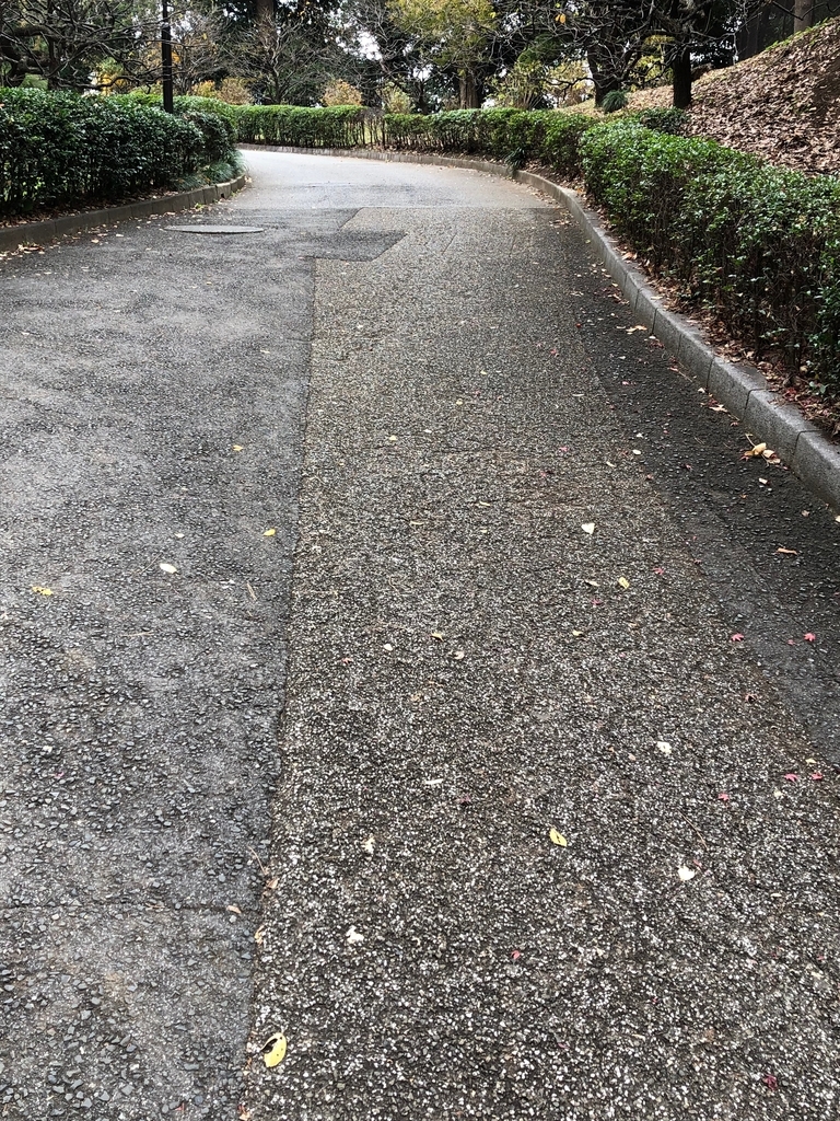 f:id:hideki-sansho:20190124154349j:plain f:id:hideki-sansho:20190124154349j:plain