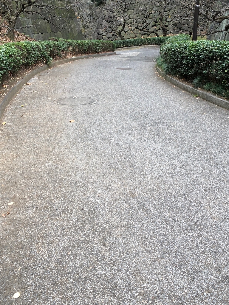f:id:hideki-sansho:20190124154406j:plain f:id:hideki-sansho:20190124154406j:plain