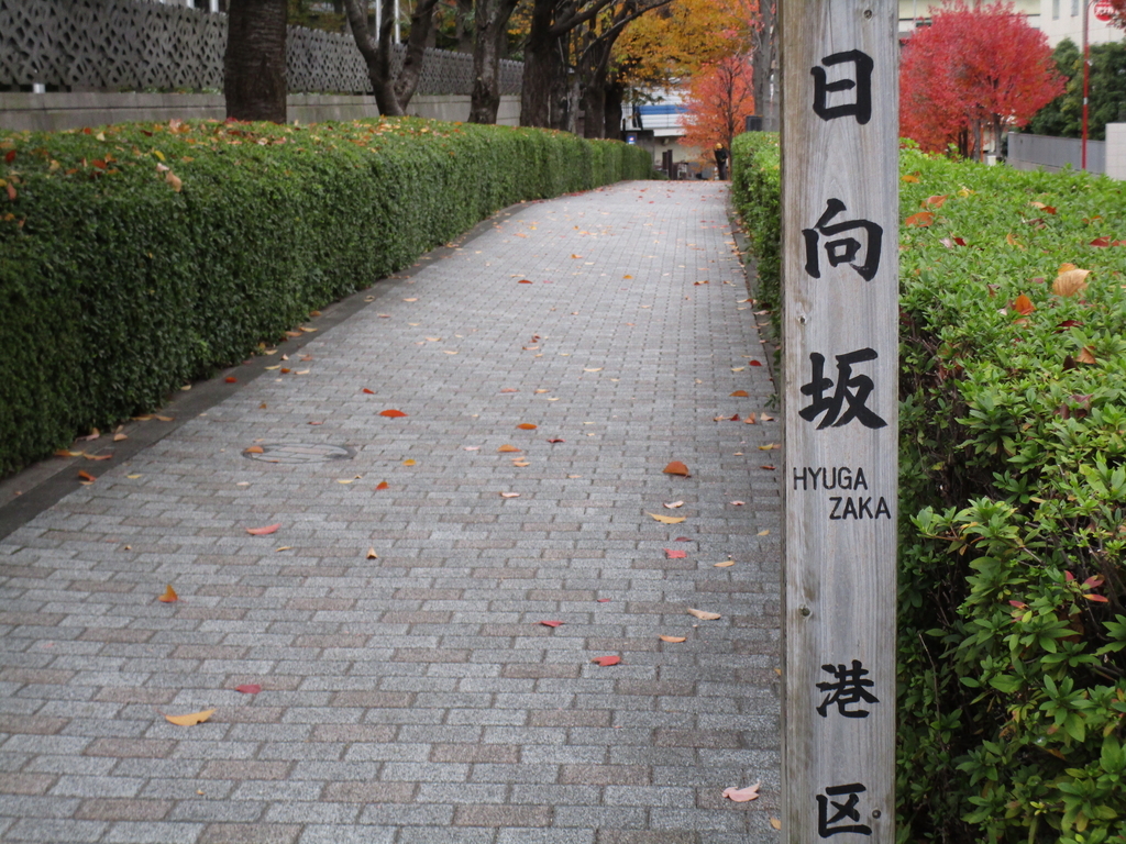 f:id:hideki-sansho:20190127221557j:plain f:id:hideki-sansho:20190127221557j:plain