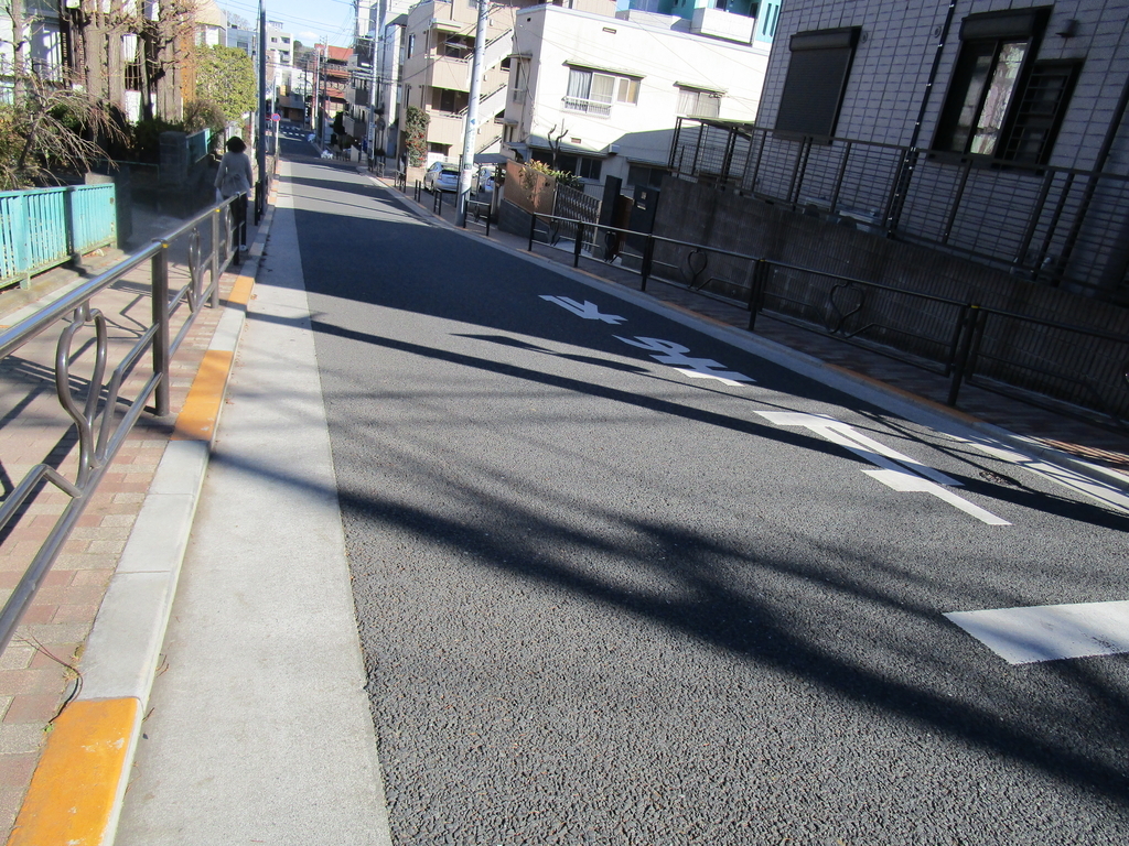 f:id:hideki-sansho:20190127222121j:plain f:id:hideki-sansho:20190127222121j:plain