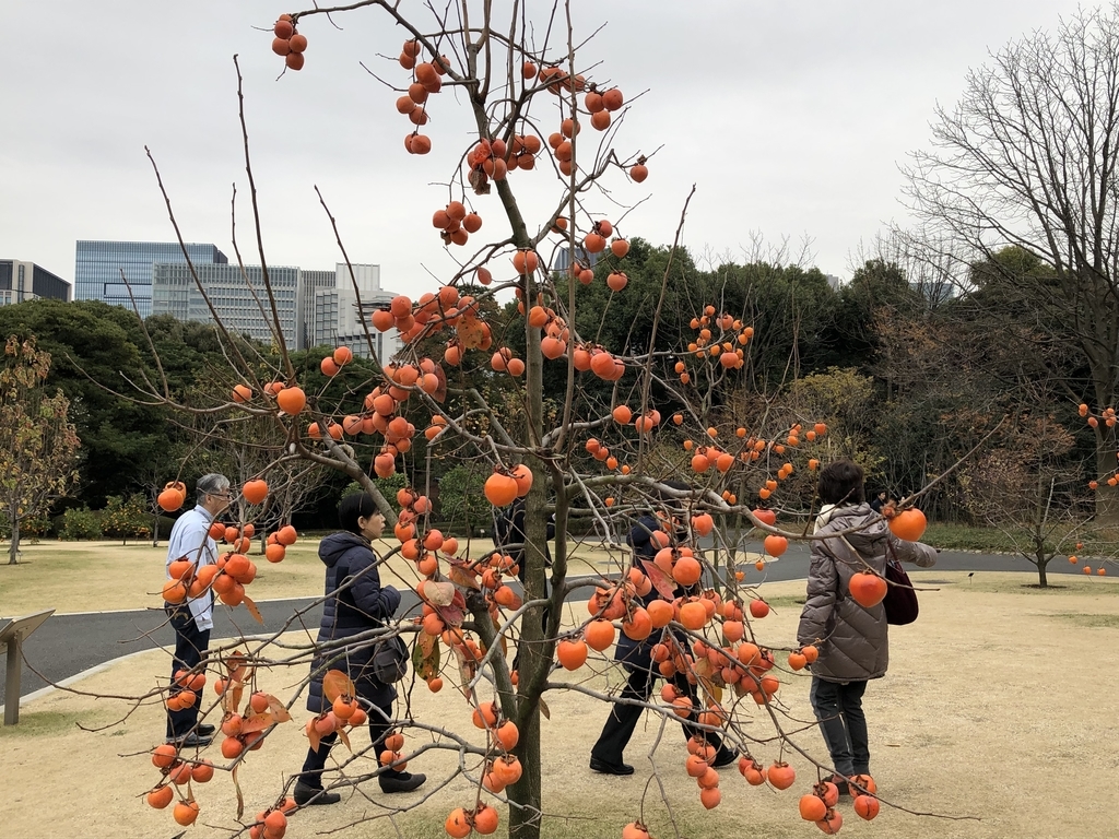 f:id:hideki-sansho:20190129162723j:plain f:id:hideki-sansho:20190129162723j:plain