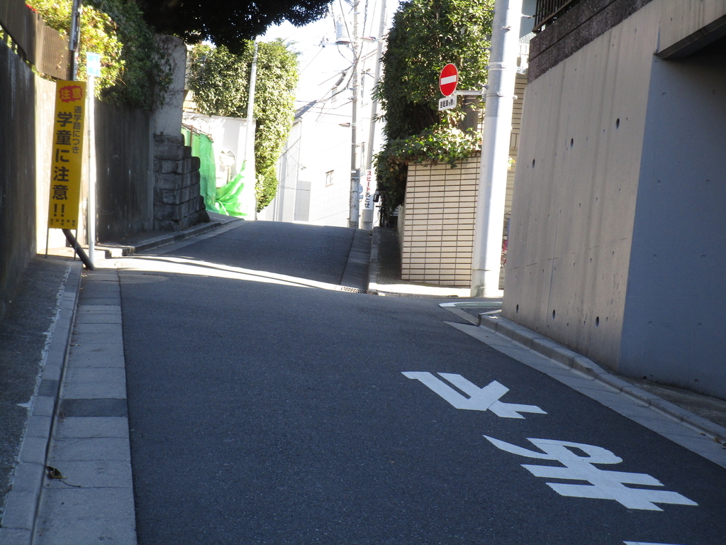 f:id:hideki-sansho:20190130103424j:plain