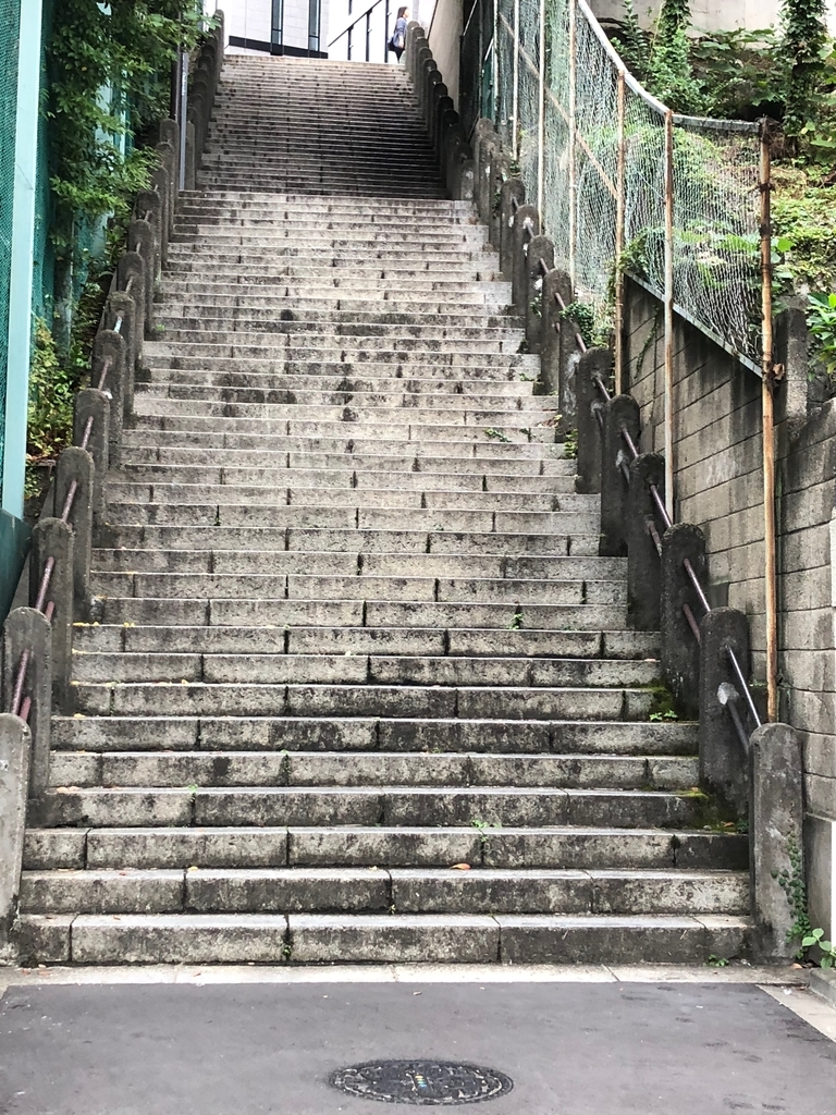 f:id:hideki-sansho:20190130184906j:plain