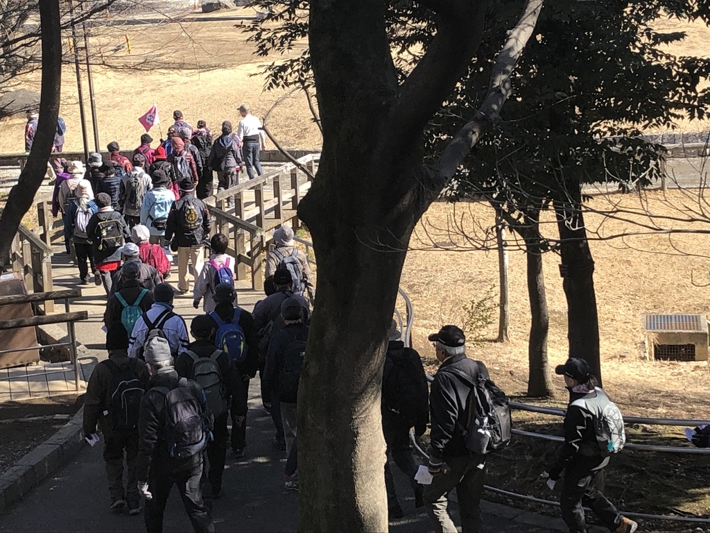 f:id:hideki-sansho:20190202181333j:plain f:id:hideki-sansho:20190202181333j:plain