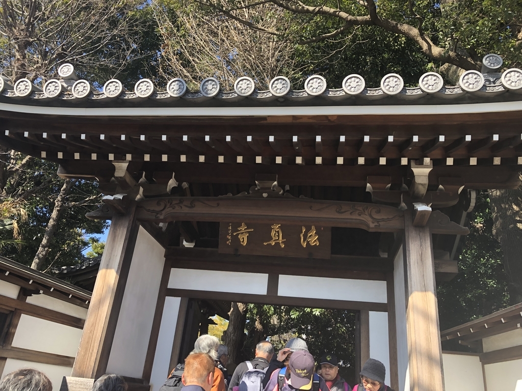 f:id:hideki-sansho:20190202182412j:plain f:id:hideki-sansho:20190202182412j:plain