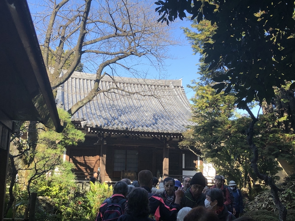 f:id:hideki-sansho:20190202182427j:plain f:id:hideki-sansho:20190202182427j:plain