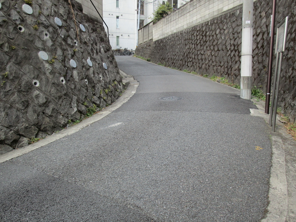 f:id:hideki-sansho:20190308135753j:plain