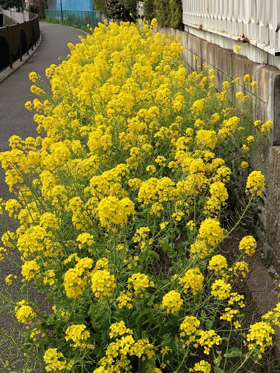 f:id:hideki-sansho:20190319140103j:plain f:id:hideki-sansho:20190319140103j:plain