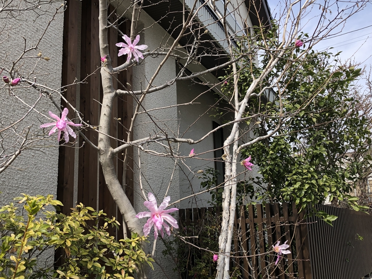 f:id:hideki-sansho:20190319141840j:plain f:id:hideki-sansho:20190319141840j:plain
