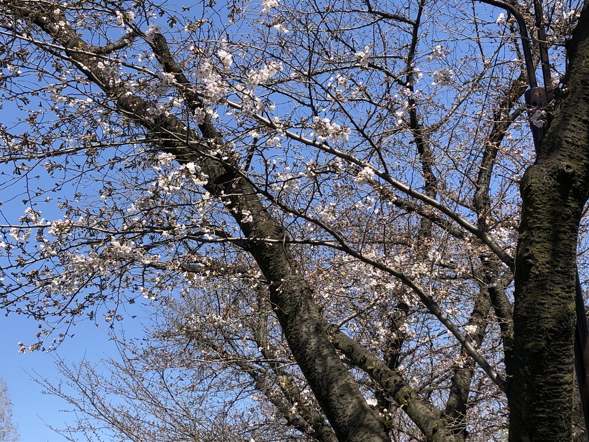 f:id:hideki-sansho:20190325123209j:plain f:id:hideki-sansho:20190325123209j:plain