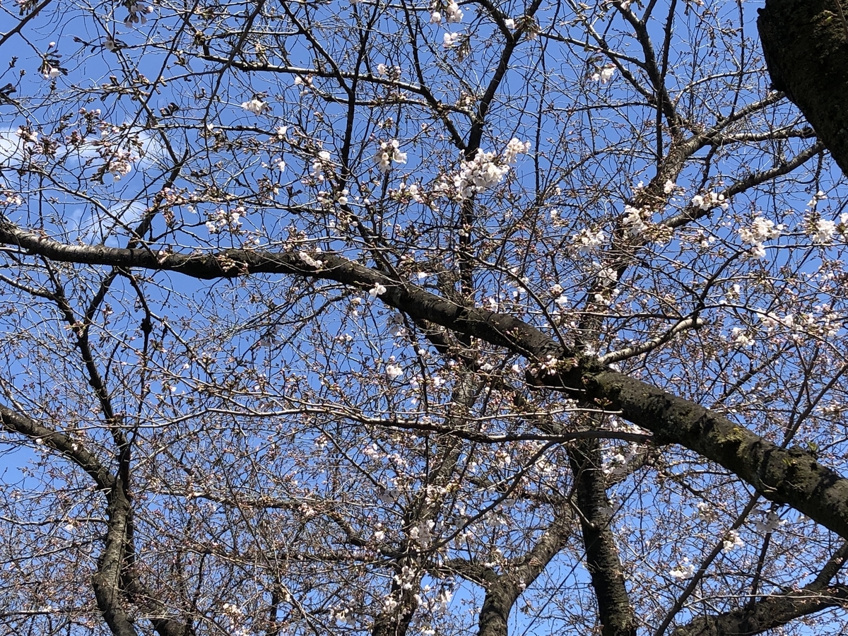 f:id:hideki-sansho:20190325123225j:plain f:id:hideki-sansho:20190325123225j:plain
