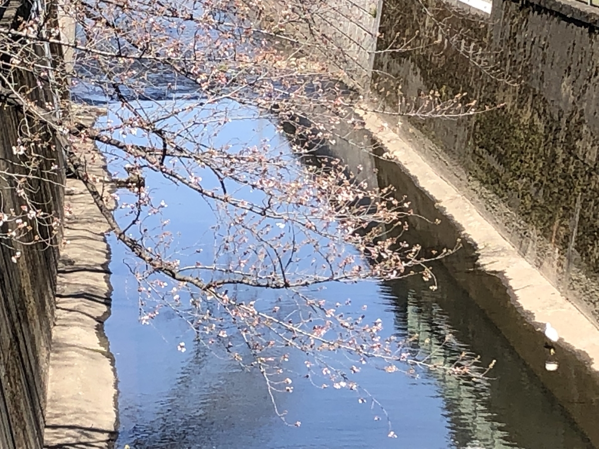 f:id:hideki-sansho:20190325123322j:plain f:id:hideki-sansho:20190325123322j:plain