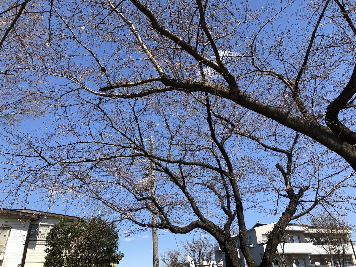 f:id:hideki-sansho:20190325123440j:plain f:id:hideki-sansho:20190325123440j:plain