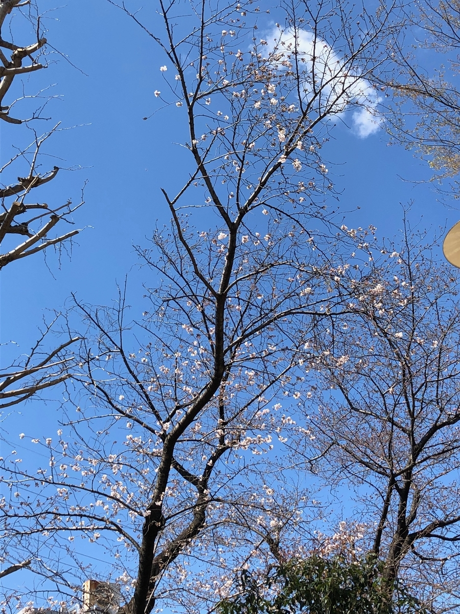 f:id:hideki-sansho:20190325123458j:plain f:id:hideki-sansho:20190325123458j:plain