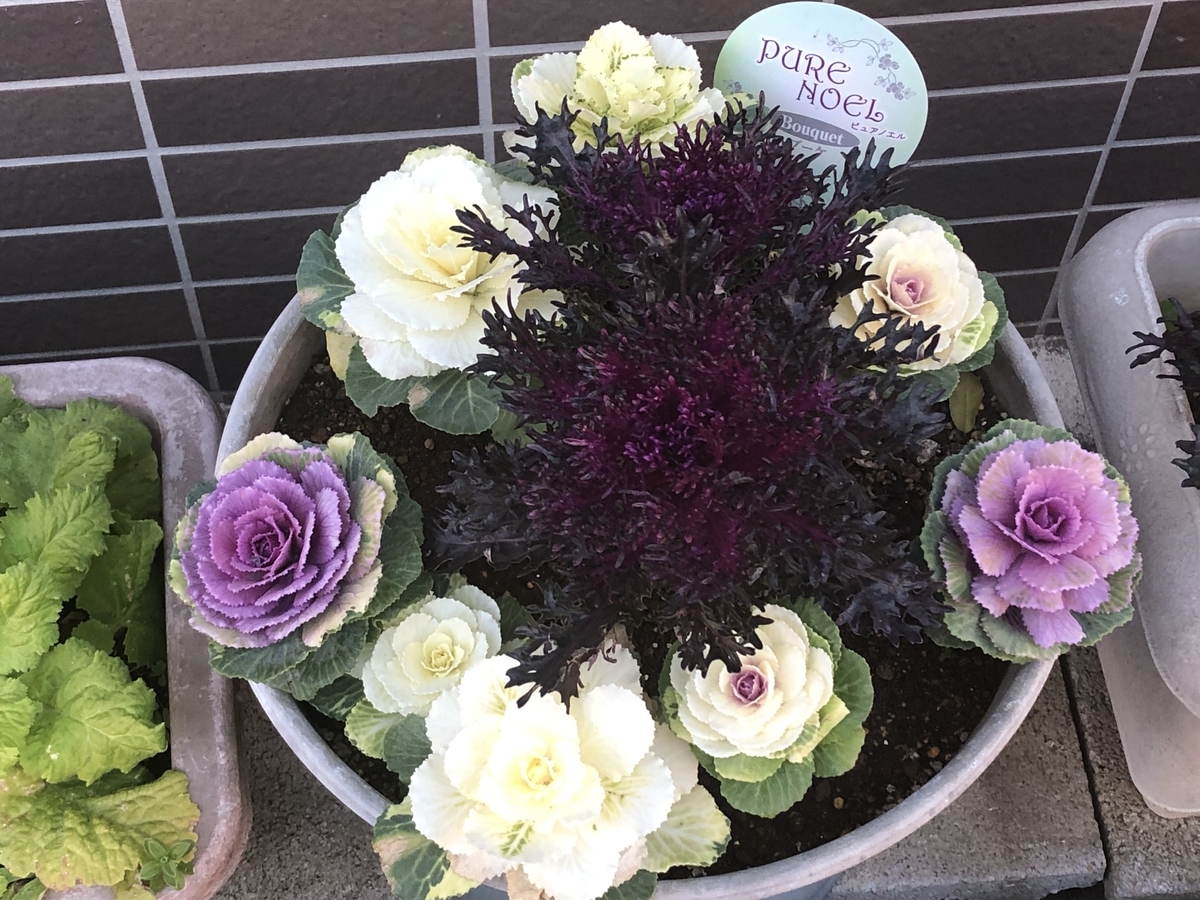 f:id:hideki-sansho:20190325163533j:plain