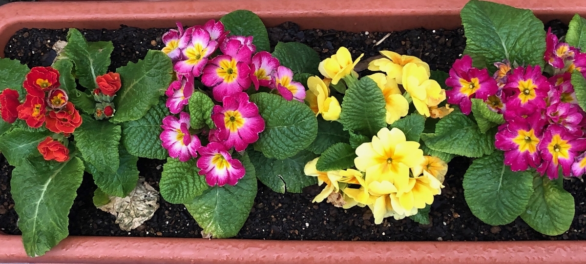 f:id:hideki-sansho:20190325163638j:plain