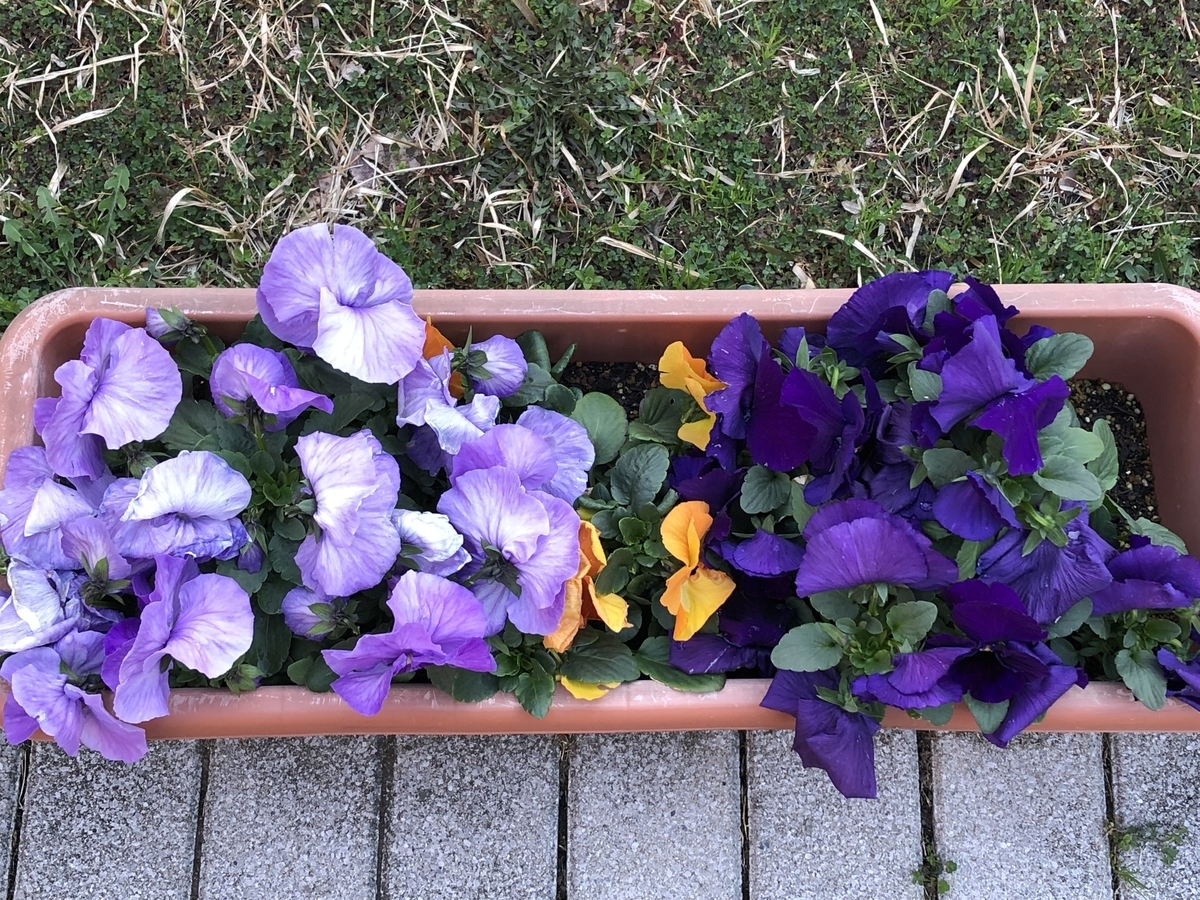 f:id:hideki-sansho:20190325163734j:plain