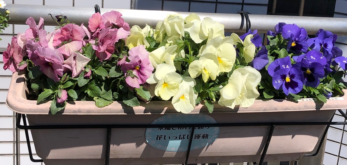 f:id:hideki-sansho:20190325163857j:plain