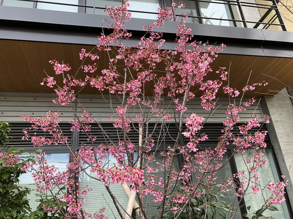 f:id:hideki-sansho:20190325172127j:plain
