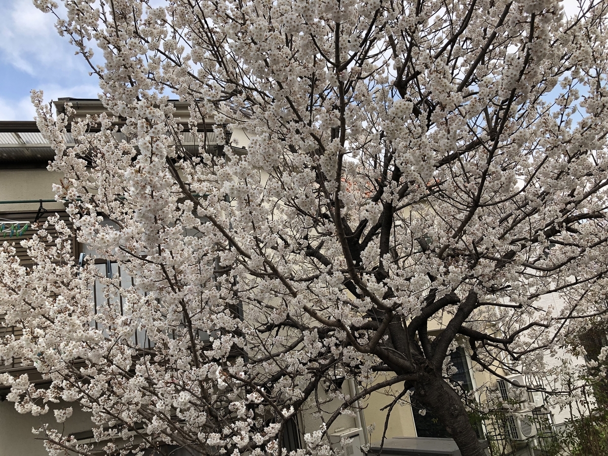 f:id:hideki-sansho:20190325172220j:plain