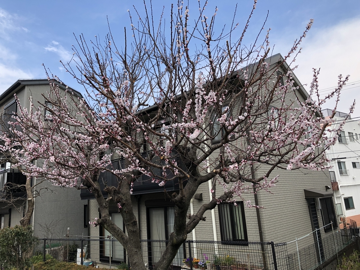 f:id:hideki-sansho:20190325172239j:plain