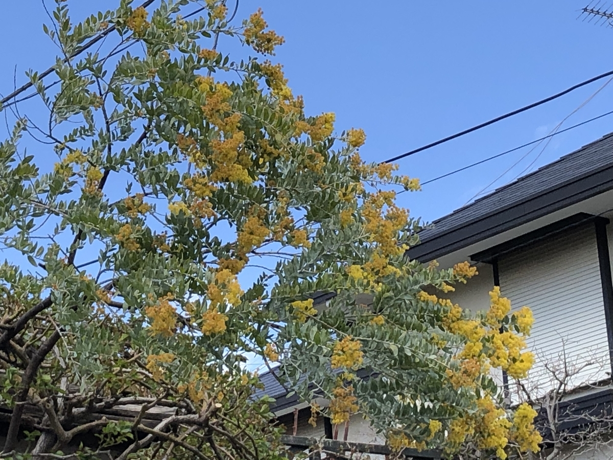 f:id:hideki-sansho:20190325172415j:plain