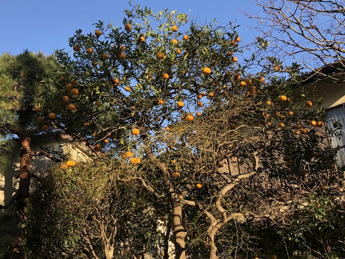 f:id:hideki-sansho:20190325172430j:plain