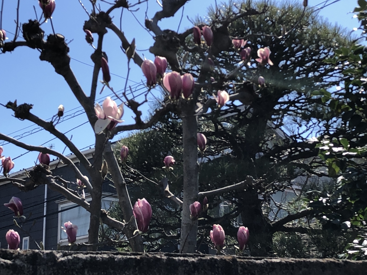 f:id:hideki-sansho:20190325172532j:plain