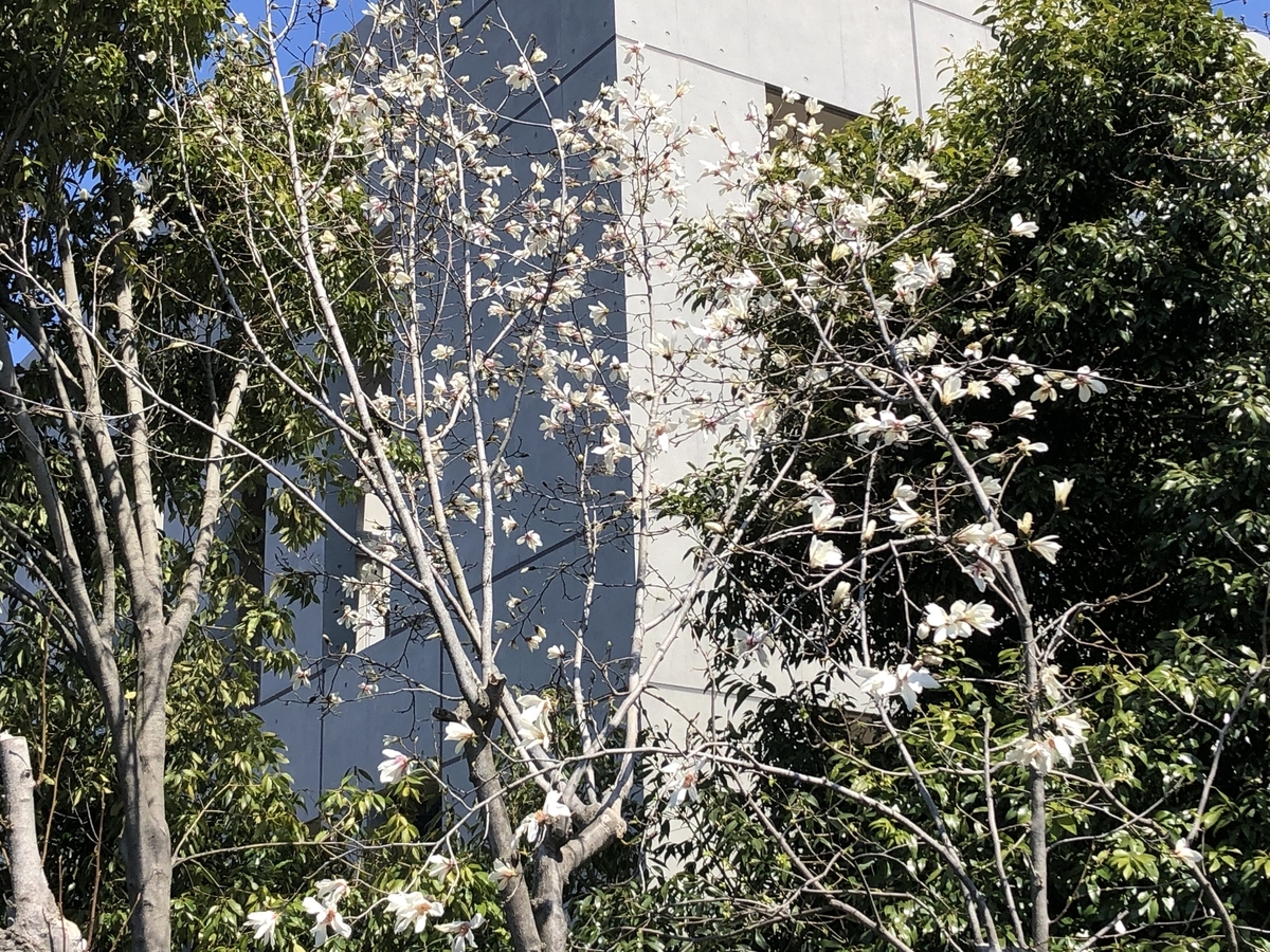 f:id:hideki-sansho:20190325172546j:plain