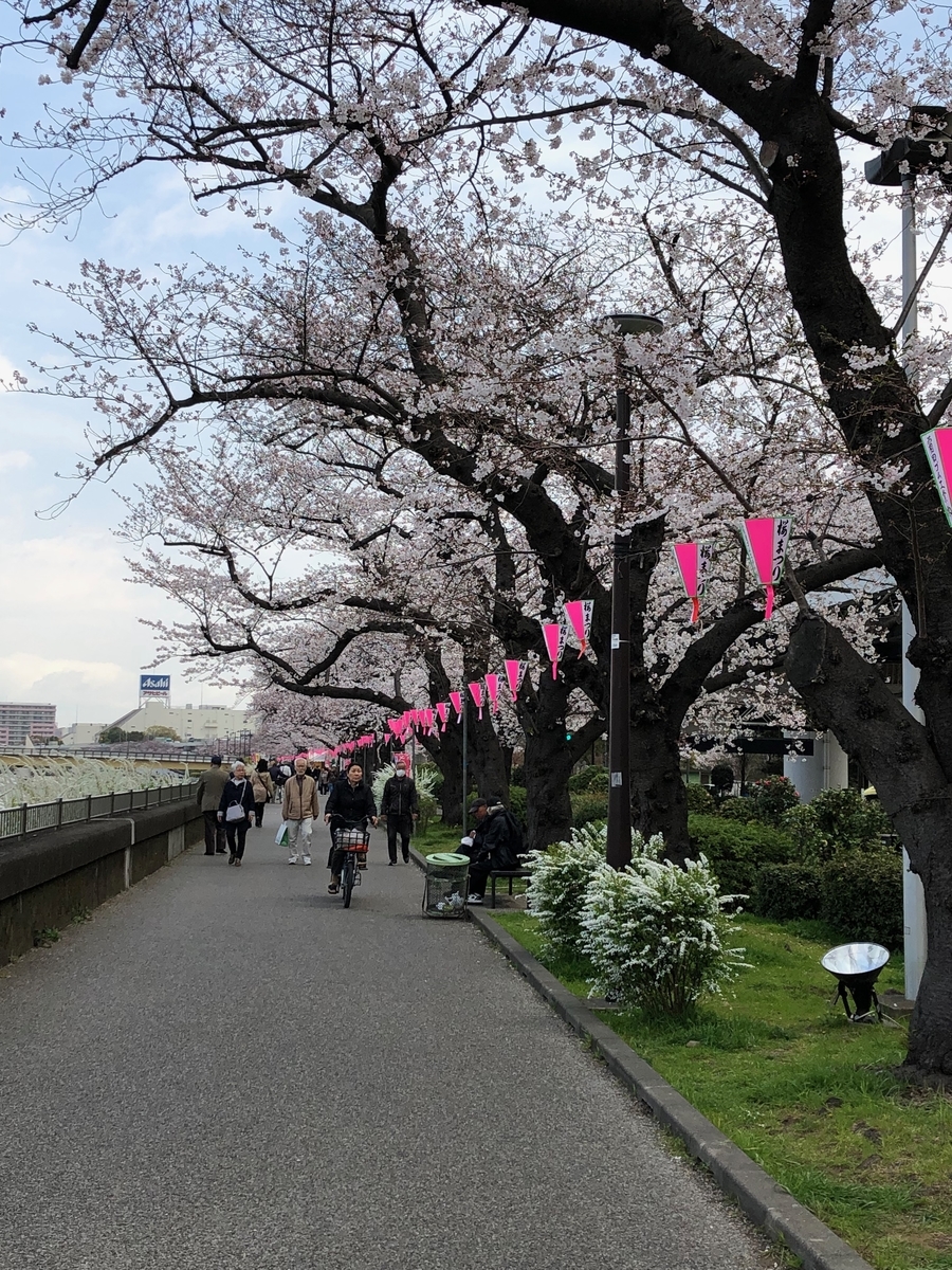 f:id:hideki-sansho:20190328190744j:plain f:id:hideki-sansho:20190328190744j:plain