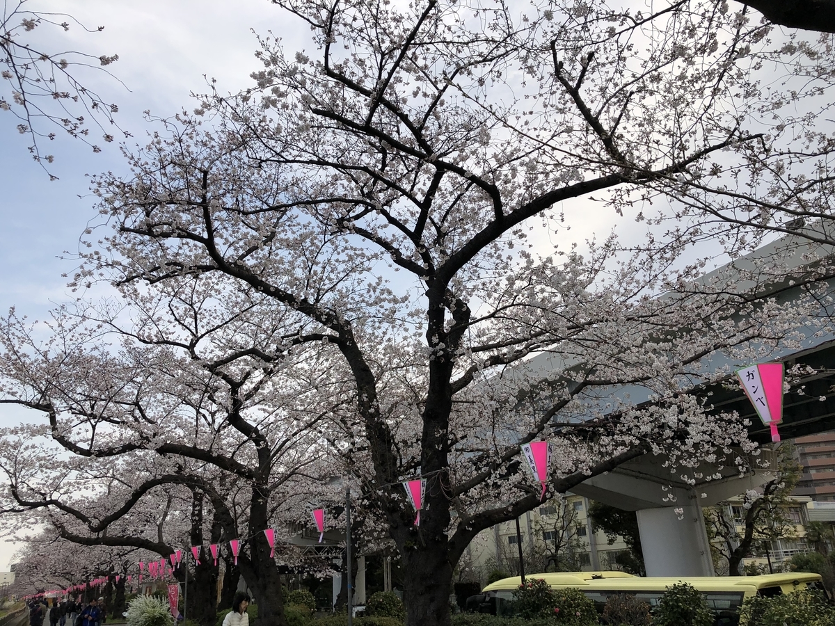 f:id:hideki-sansho:20190328190806j:plain