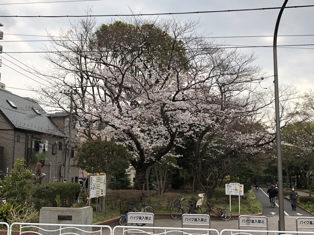 f:id:hideki-sansho:20190328200107j:plain f:id:hideki-sansho:20190328200107j:plain