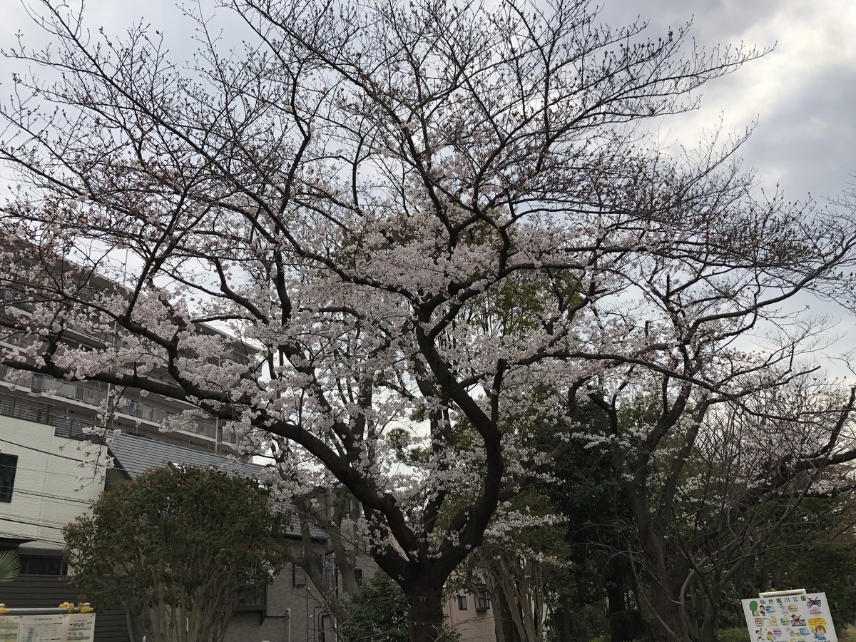 f:id:hideki-sansho:20190328200138j:plain f:id:hideki-sansho:20190328200138j:plain