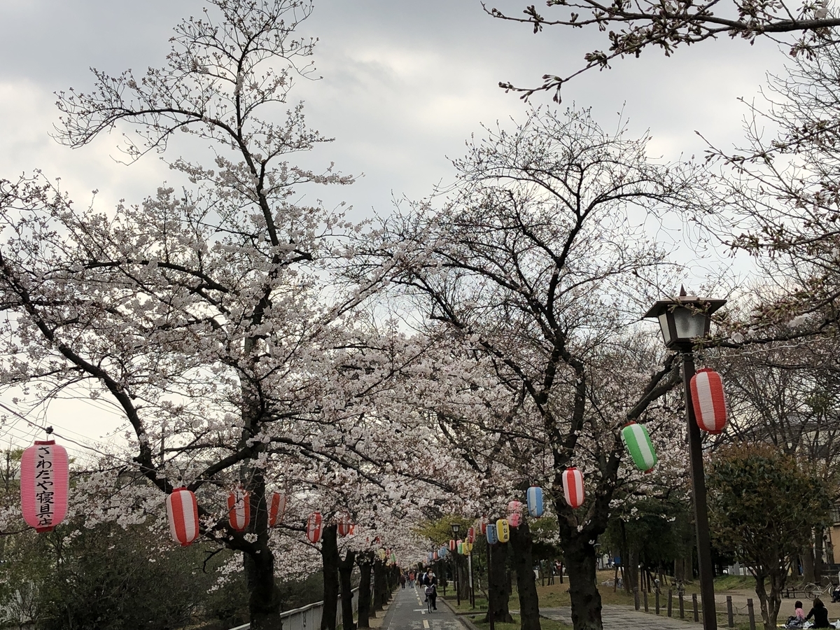f:id:hideki-sansho:20190328200221j:plain