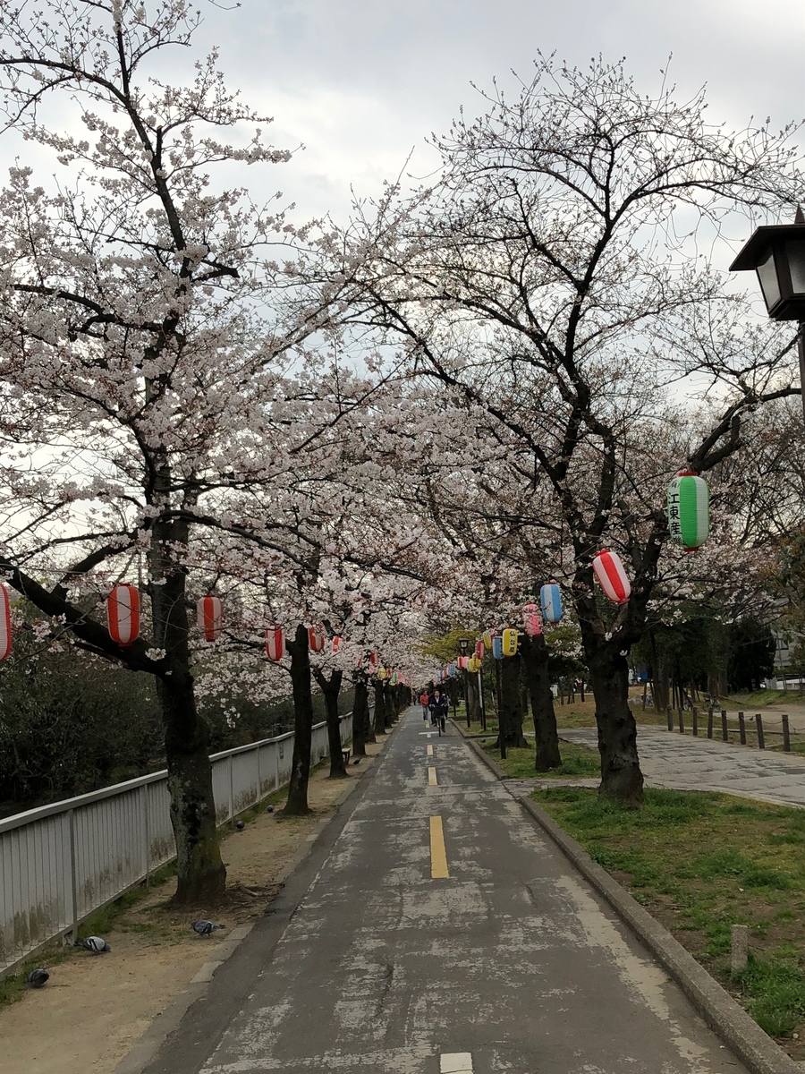 f:id:hideki-sansho:20190328200237j:plain