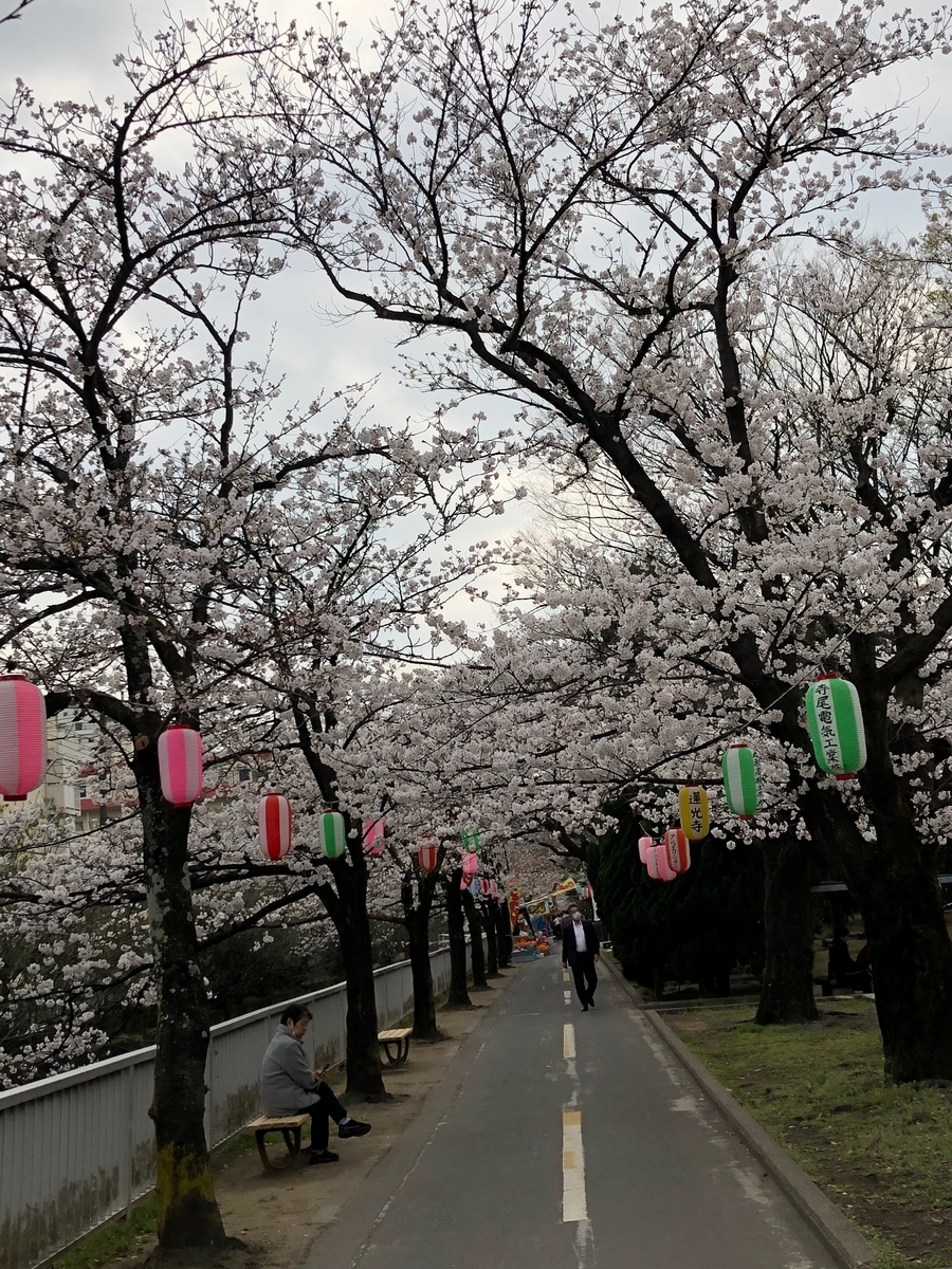 f:id:hideki-sansho:20190328200328j:plain