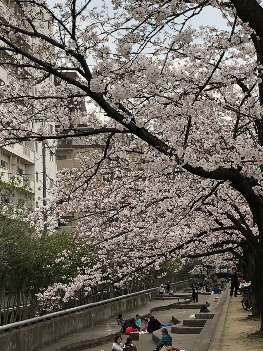 f:id:hideki-sansho:20190328200415j:plain