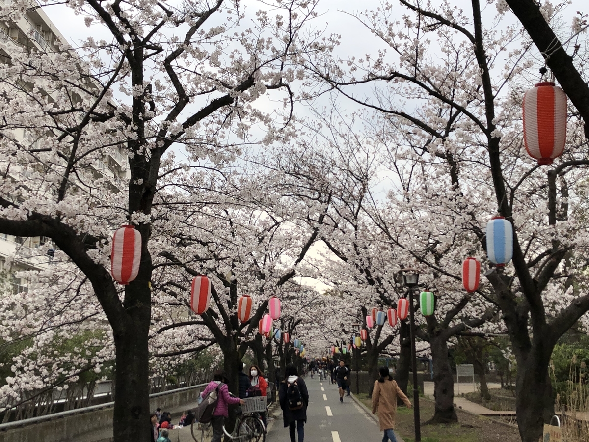 f:id:hideki-sansho:20190328200429j:plain