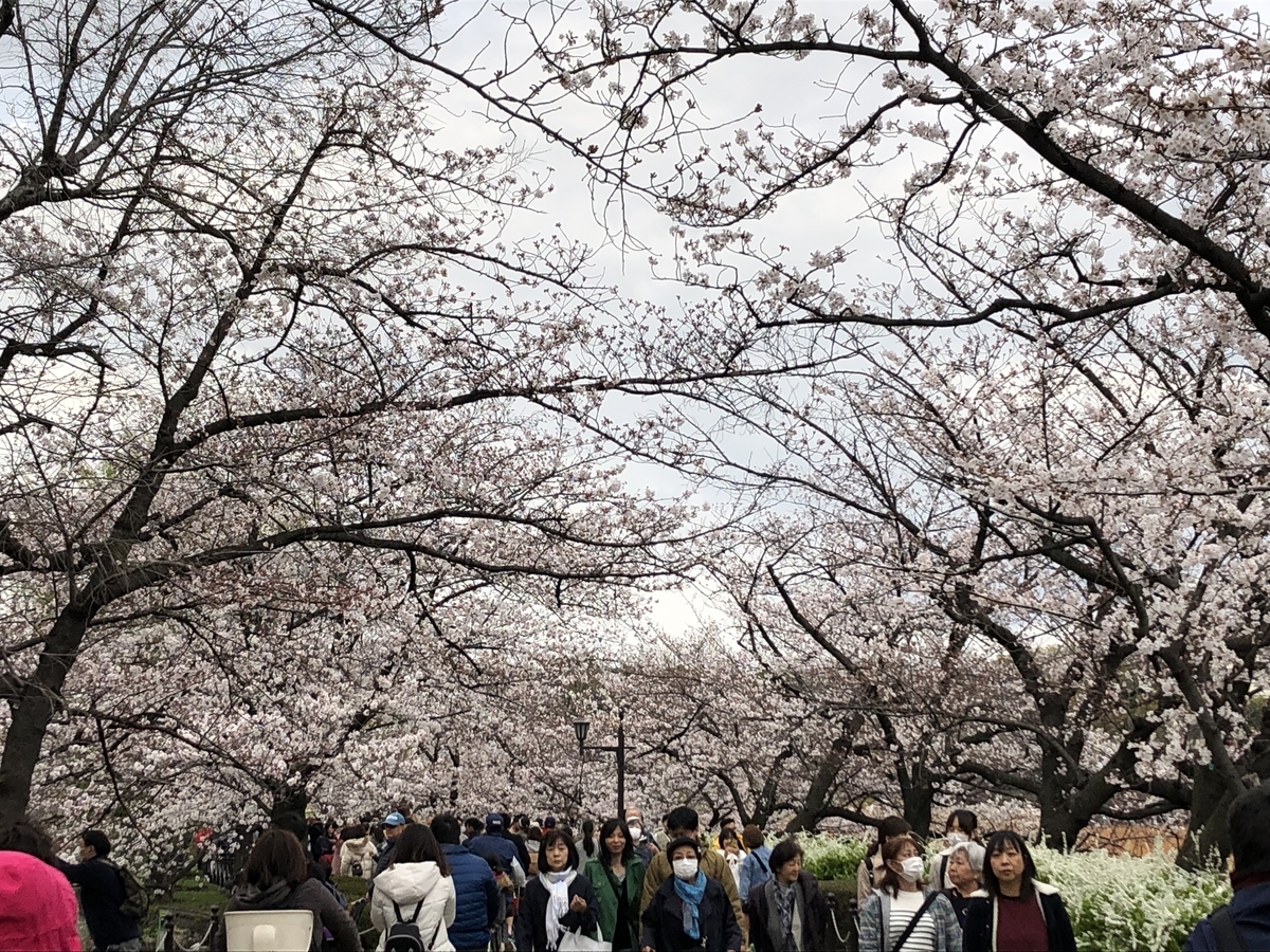 f:id:hideki-sansho:20190328203500j:plain f:id:hideki-sansho:20190328203500j:plain