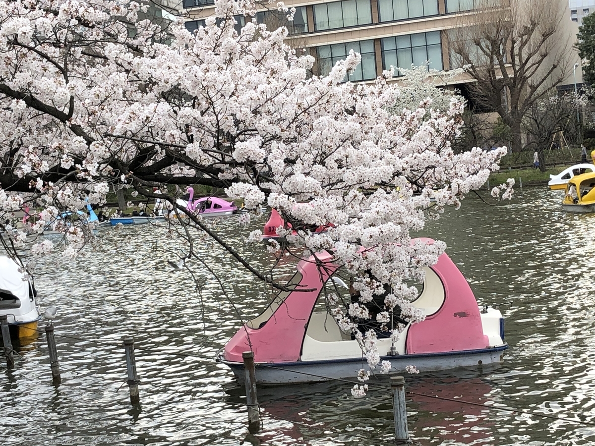 f:id:hideki-sansho:20190328203602j:plain f:id:hideki-sansho:20190328203602j:plain