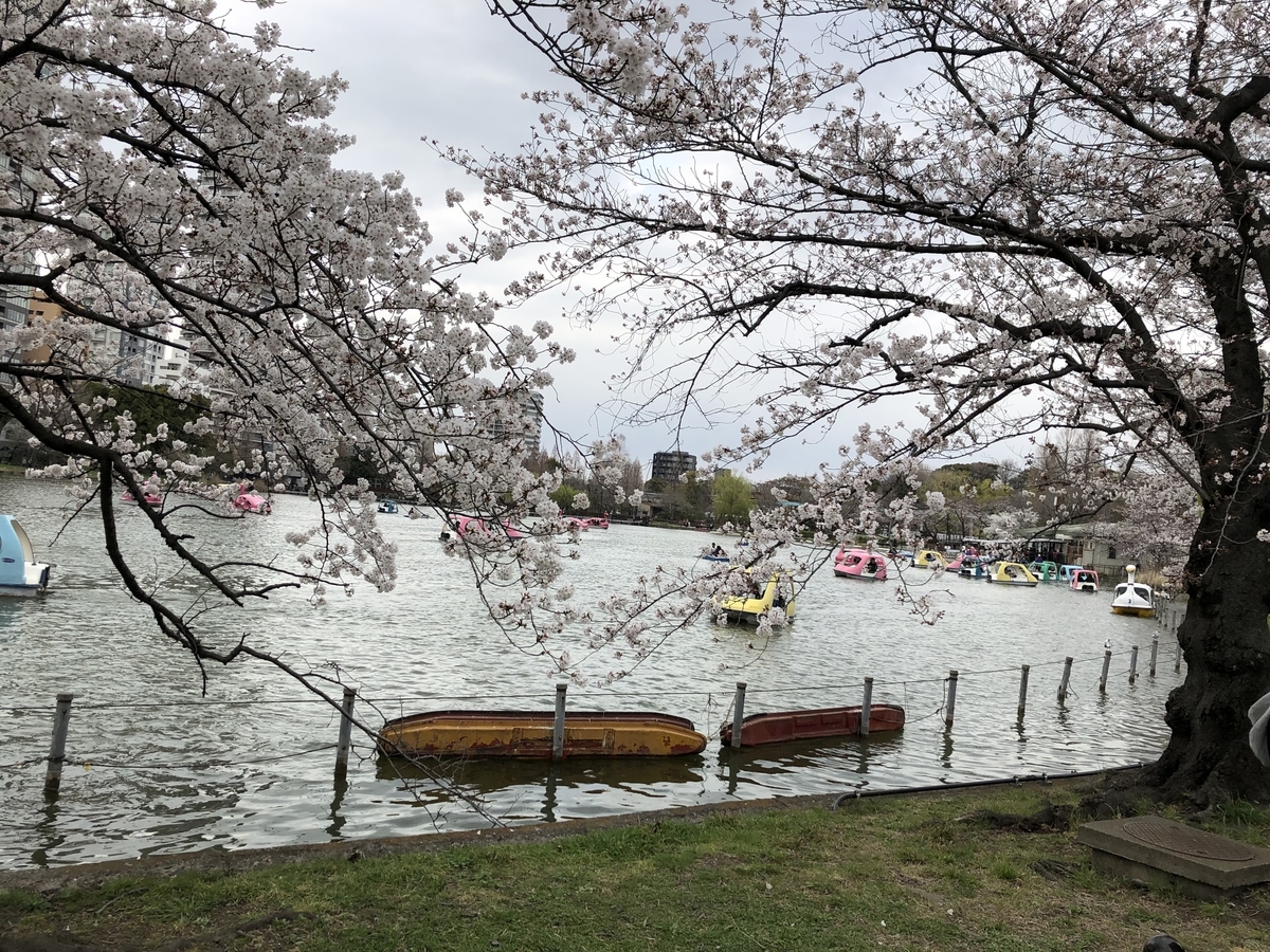 f:id:hideki-sansho:20190328203621j:plain f:id:hideki-sansho:20190328203621j:plain