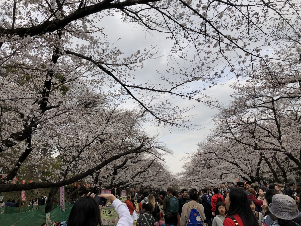 f:id:hideki-sansho:20190328203828j:plain f:id:hideki-sansho:20190328203828j:plain