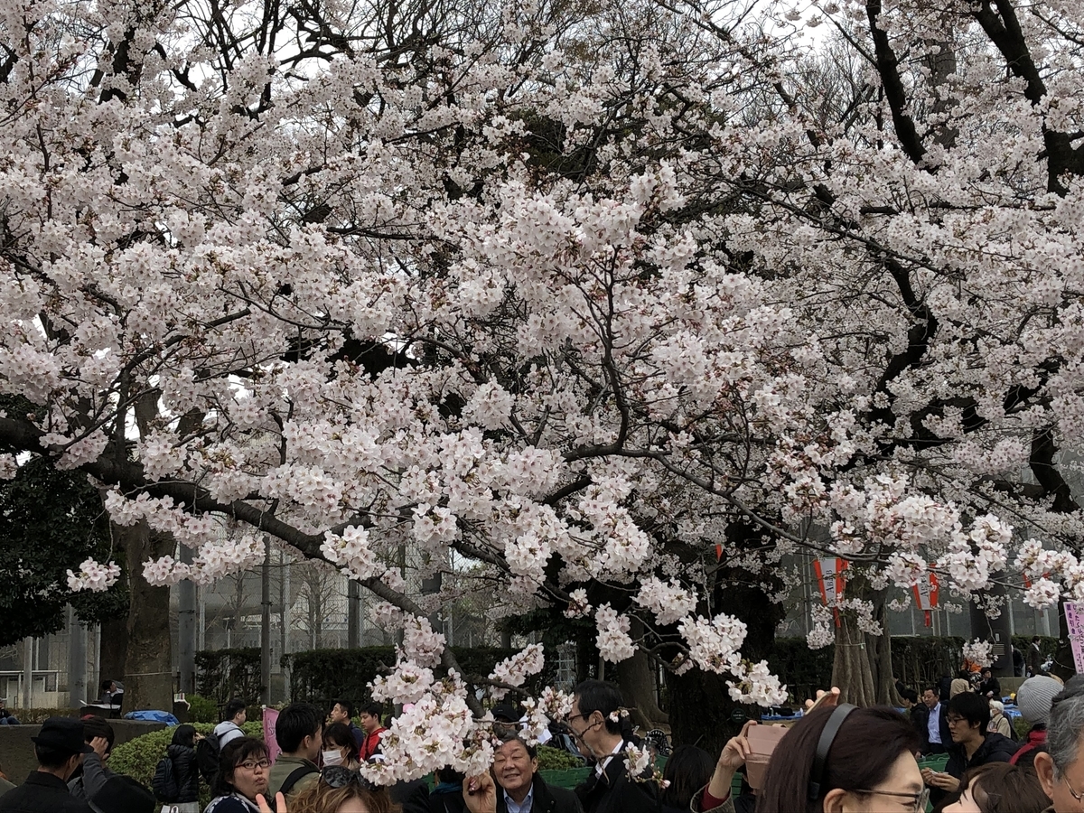 f:id:hideki-sansho:20190328203917j:plain f:id:hideki-sansho:20190328203917j:plain