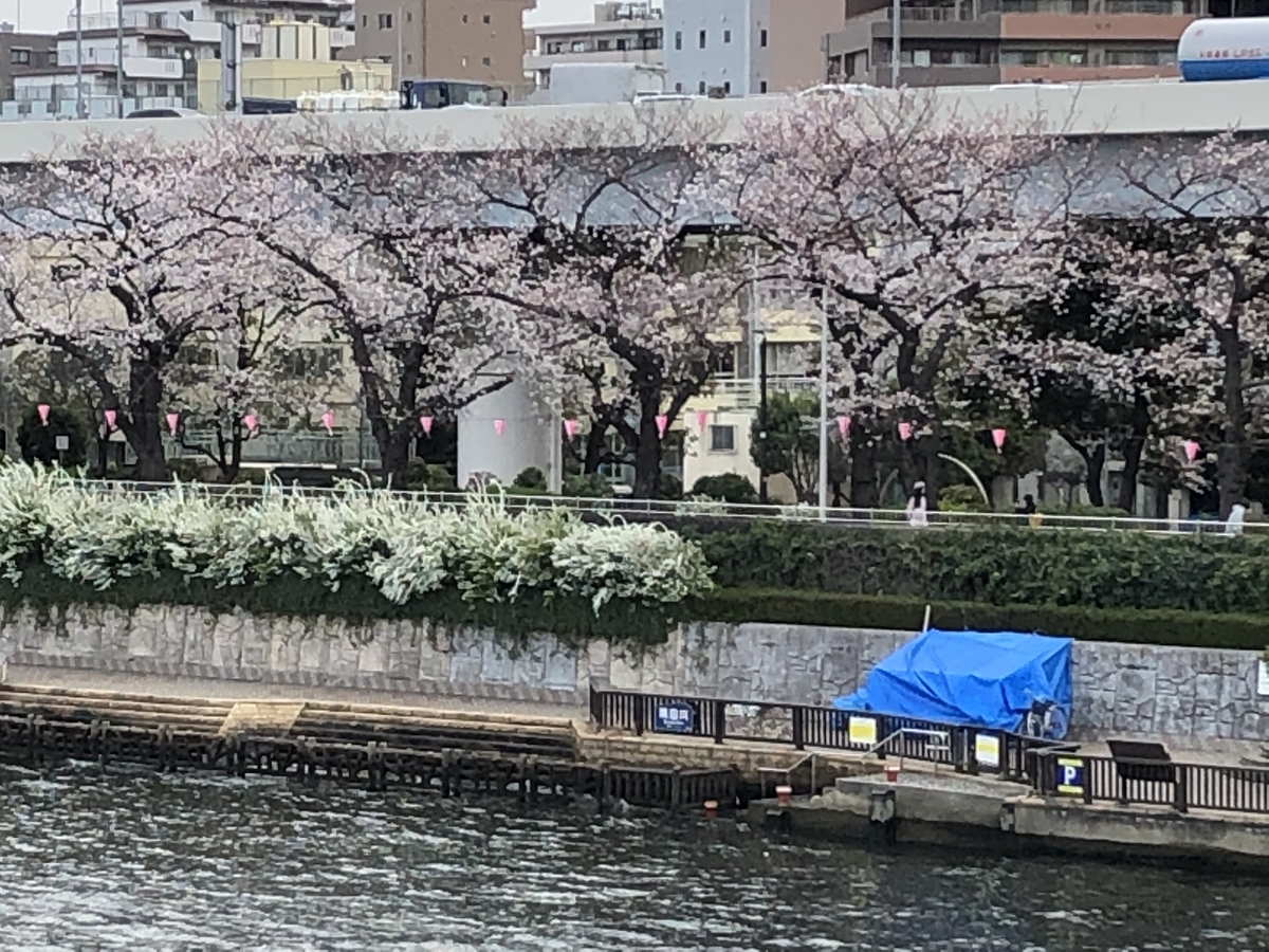 f:id:hideki-sansho:20190329063922j:plain
