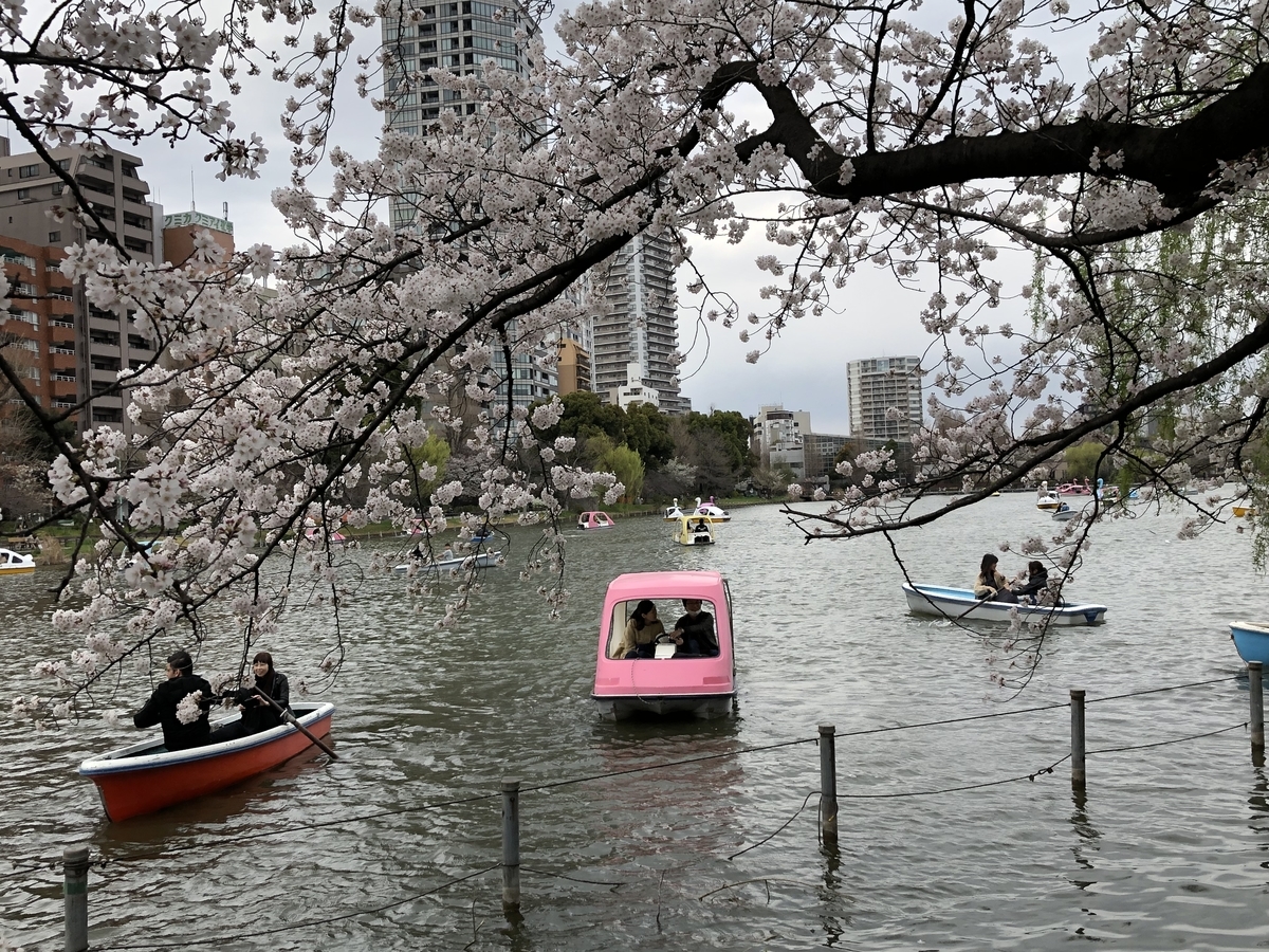 f:id:hideki-sansho:20190329070112j:plain