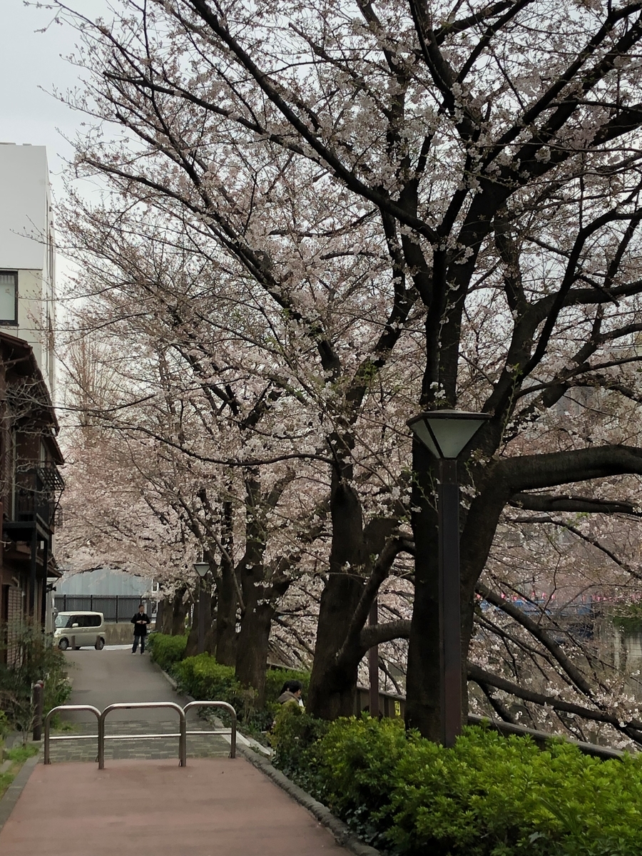 f:id:hideki-sansho:20190329155310j:plain f:id:hideki-sansho:20190329155310j:plain