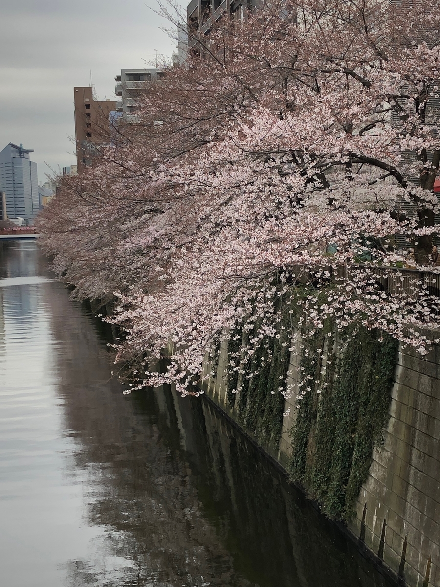 f:id:hideki-sansho:20190329155500j:plain f:id:hideki-sansho:20190329155500j:plain