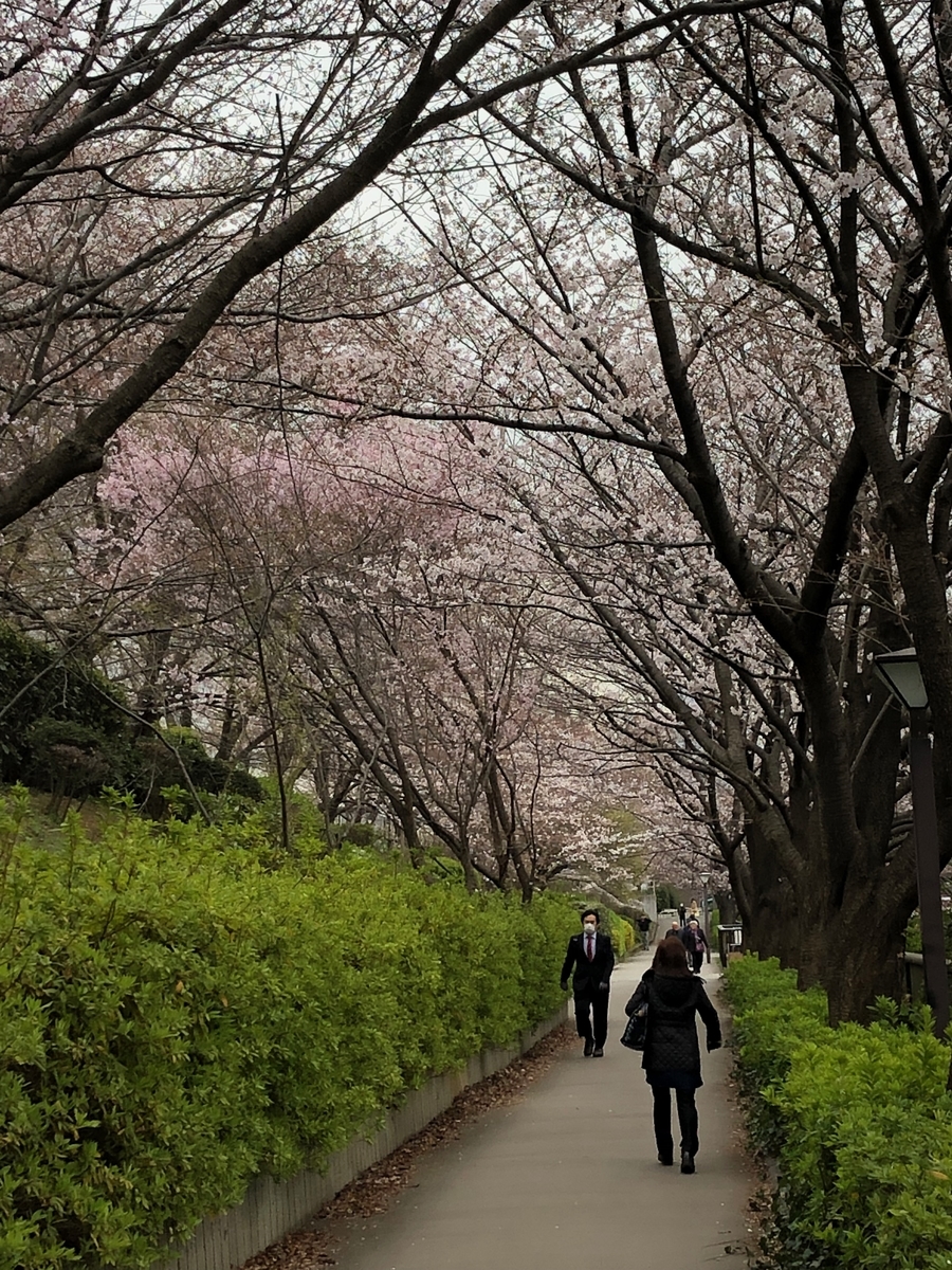 f:id:hideki-sansho:20190329155548j:plain f:id:hideki-sansho:20190329155548j:plain