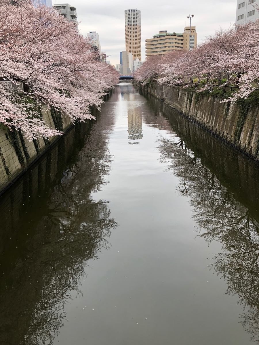 f:id:hideki-sansho:20190329155656j:plain f:id:hideki-sansho:20190329155656j:plain